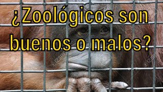 Zoólogicos o bioparques ¿buenos o malos🤔 [upl. by Haridan]