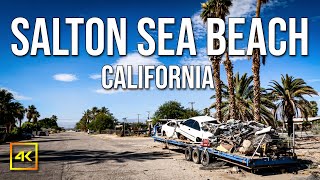 Do You Want To Visit Salton Sea Beach  Salton Sea Today [upl. by Male882]