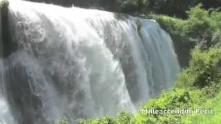 Relaxing Waterfall  10 Hours  Peace Serenity Calm Nature Relaxation [upl. by Sollows978]