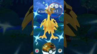 LETS GO ✨ SHINY GALARIAN ZAPDOS in Pokemon GO [upl. by Aushoj70]