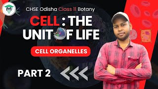 Cell The Unit of Life Class 11 in Odia  Chapter 8 Cell Organelles  Lecture 2 [upl. by Swift]