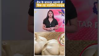 Ban के बावजूद धड़ल्ले से बिक रहा Chinese Garlic। [upl. by Elbon969]