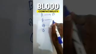 Understanding Blood Groups  Who Can Donate To Whom  NCERT [upl. by Almeeta195]