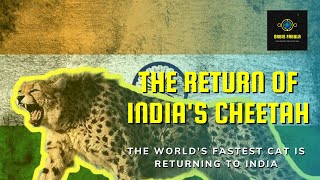 India’s Cheetah Comeback [upl. by Salas]