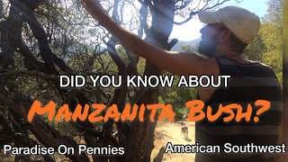 Did You Know Manzanita Bush [upl. by Deana]