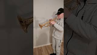 Auralee trumPecho jazz Version2 trumpet jazz music [upl. by Bliss924]