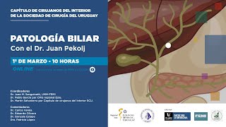 Patología biliar con el Dr Juan Pekolj [upl. by Oigroig340]