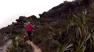 Walking Across the Top of Mount Roraima Venezuela [upl. by Goerke844]