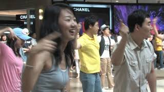 The Worlds Most Shocking Flashmob [upl. by Rodmur]