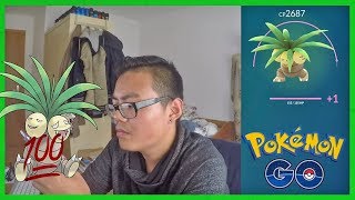 100 IV KOKOWEI entwickelt amp auf Max gepushed  was soll ich pushen Pokemon Go [upl. by Brett370]