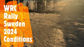 WRC Rally Sweden  2024  Stage conditions [upl. by Akinimod]