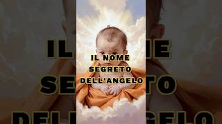 Il Nome Segreto DellAngelo🪽 motivazione saggezza vita [upl. by Aztiraj]