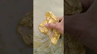 very big goldhunter miner golddiscovery [upl. by Rowe]