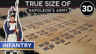 True Size of Napoleons Army  The Infantry c 1808 3D DOCUMENTARY [upl. by Rehpetsirhc169]