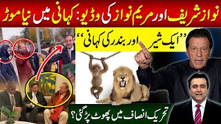 Twist in Maryam and Nawazs video  quotStory of lion and monkeyquot  Split within PTI  Mansoor Ali Khan [upl. by Rizika508]