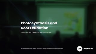 Photosynthesis and Root Exudation [upl. by Neelhsa]