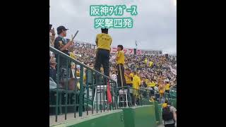 20240609 ﾗｲﾄｽﾀﾝﾄﾞ下段から【突撃四発】 shorts 阪神ﾀｲｶﾞｰｽ 4連 4連発阪神甲子園球場･ﾗｲﾄ外野 日本生命ｾ･ﾊﾟ交流戦 [upl. by Minne270]