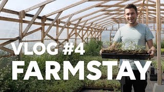 Vlog 4 Farmstay  Boa Lingua [upl. by Jacklyn]