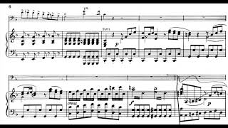 Capuzzi  Double Bass Concerto in F 1st Mov piano accompaniment [upl. by Burck331]