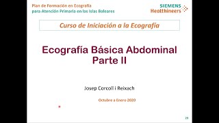 ECOGRAFÍA ABDOMINAL BÁSICA II ANATOMÍA ECOGRAFICA NORMAL RENAL Y PÉLVICA EcoAPIBDrJosep Corcoll [upl. by Groeg]