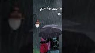 তুমি কি আমার হাসি মুখের আবার কারণ হবে  Slowed  Reverb Lofi music official coversong song [upl. by Aihsekal]