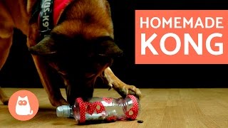 DIY Dog Toys  Kong Toy for Dogs [upl. by Nahsaj826]