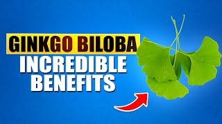 What Are The Top 7 Benefits Of Ginkgo Biloba Find Out Here  Remedies Haven [upl. by Gino]