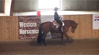 Bökeberg Challenge May 2014  Western Pleasure Senior [upl. by Henleigh513]