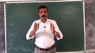 Macroeconomics 7 endogenous vs exogenous variables [upl. by Leiahtan]