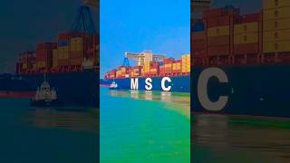 MSC Mafia log  ekdum bagal se nikalte hue thodi information bhi hai dekh lo 🚢⚓💕shorts vlog love [upl. by Hamimej]