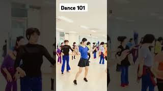 Dance 101 Linedance [upl. by Datha]