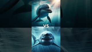 Great White Shark vs Dolphin vs  Orcas megalodon hammer head shark polar bear sperm whale [upl. by On]