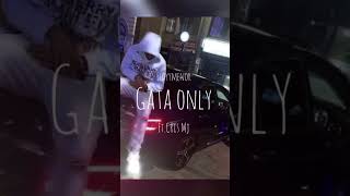 GATA ONLY  FloyyMenor ft Cris MJ Sped Up  Gata only sped up version  TikTok version  VerseVibe [upl. by Anahs]