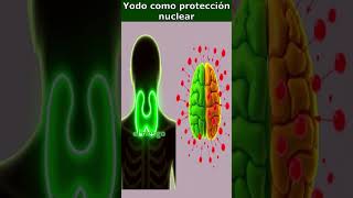 💊 Yodo Protección en Casos de Radiación ⚛️🛡️ [upl. by Coletta]