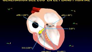 El electrocardiograma EKG [upl. by Trever]