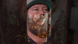 Bert Kreischers Inspirational Booze Speech [upl. by Gabi]