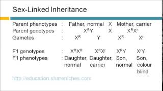 SexLinked Inheritance  Colour Blindness  Inheritance [upl. by Ryann]