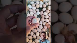 Ande se bacche kaise nikalte Hain dekho egg funny [upl. by Judas]