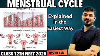 Menstrual Cycle Explained  Human Reproduction class 12  Part7  by Vivek Sir [upl. by Zobe]