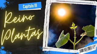 REINO PLANTAS  Capítulo 3 Nutrición y Relación de las plantas [upl. by Abey]