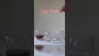 Egg shell vs Acid chemistry acid egg [upl. by Duffie]