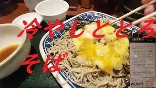 麺房八角 冷やしととろそば（650円）の食べ方 [upl. by Zoellick]