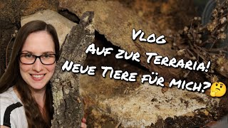 Vlog Auf zur Terraria Neue Tiere für mich [upl. by Atnes]