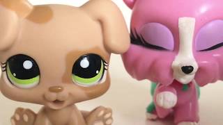 LPS My Strange Addiction ADDICTED TO POOPING IN CHIMNEYS Part 2 [upl. by Janette]