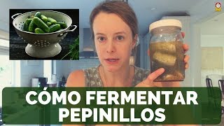 Cómo fermentar PEPINILLOS  PICKLES [upl. by Fronniah]