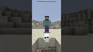 Minecraft Is Not Safe 💀👀 [upl. by Zsazsa]