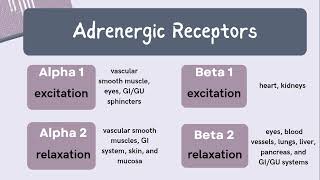 Np Learning  Review of Alpha and Beta Adrenergic Receptors 🧠 [upl. by Link]