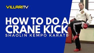 How to do a Crane Kick  The Karate Kid and Cobra Kai [upl. by Eselahc]