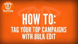 TeeChip  How To Tag Your Top Campaigns With Bulk Edit  TeeChip [upl. by Antonius]