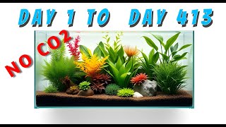 I Tried Growing Plants Without CO2 for 413 Days Heres What Happened [upl. by Arabella]